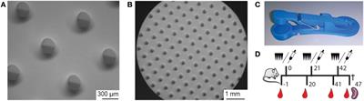 Nanoporous Microneedle Arrays Effectively Induce Antibody Responses against Diphtheria and <mark class="highlighted">Tetanus Toxoid</mark>